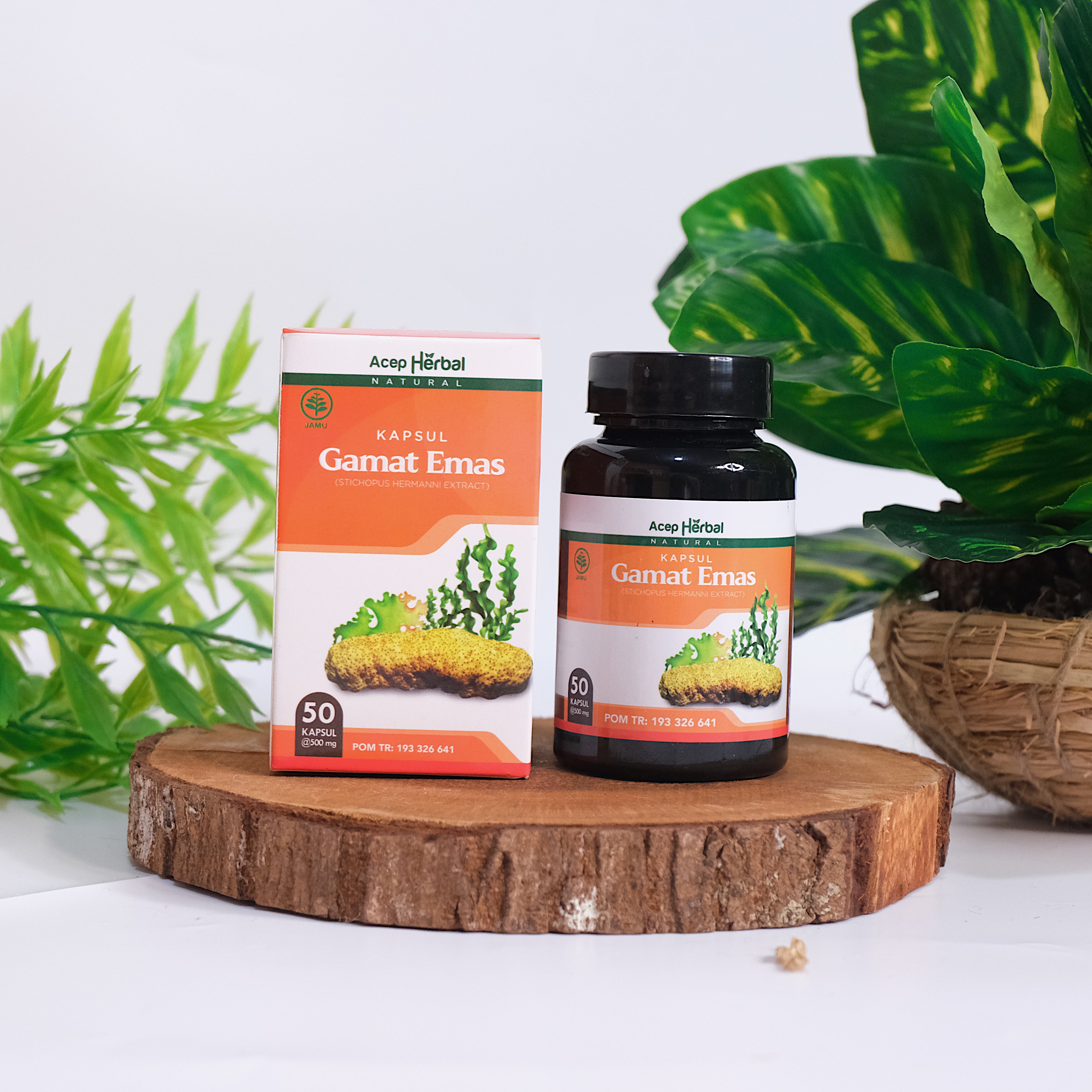 Kapsul Gamat Emas Original Obat Multi Khasiat 100% Ekstrak Teripang Emas Tanpa Efek Samping Sudah BPOM dan Halal MUI