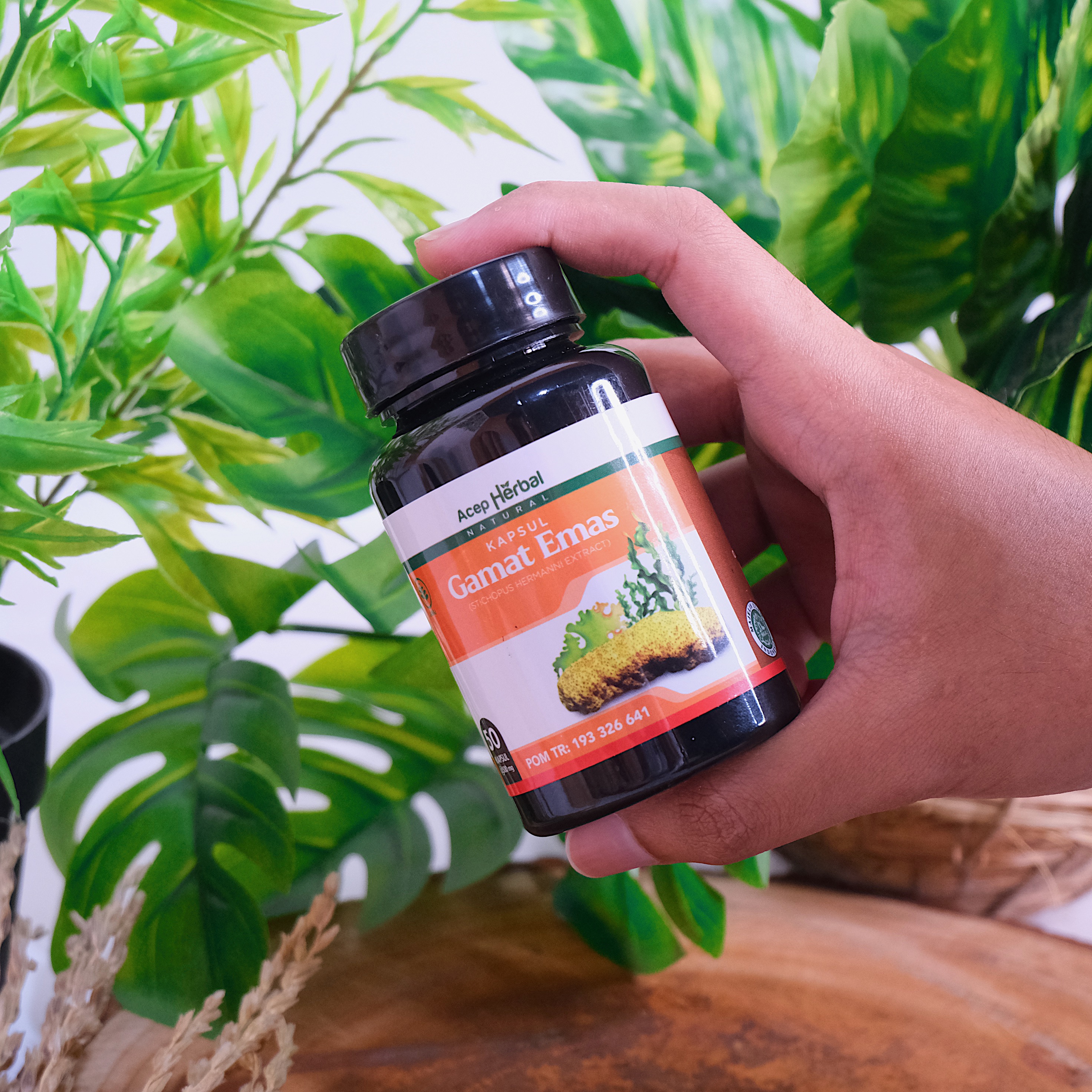 Kapsul Gamat Emas Original Obat Multi Khasiat 100% Ekstrak Teripang Emas Tanpa Efek Samping Sudah BPOM dan Halal MUI 3