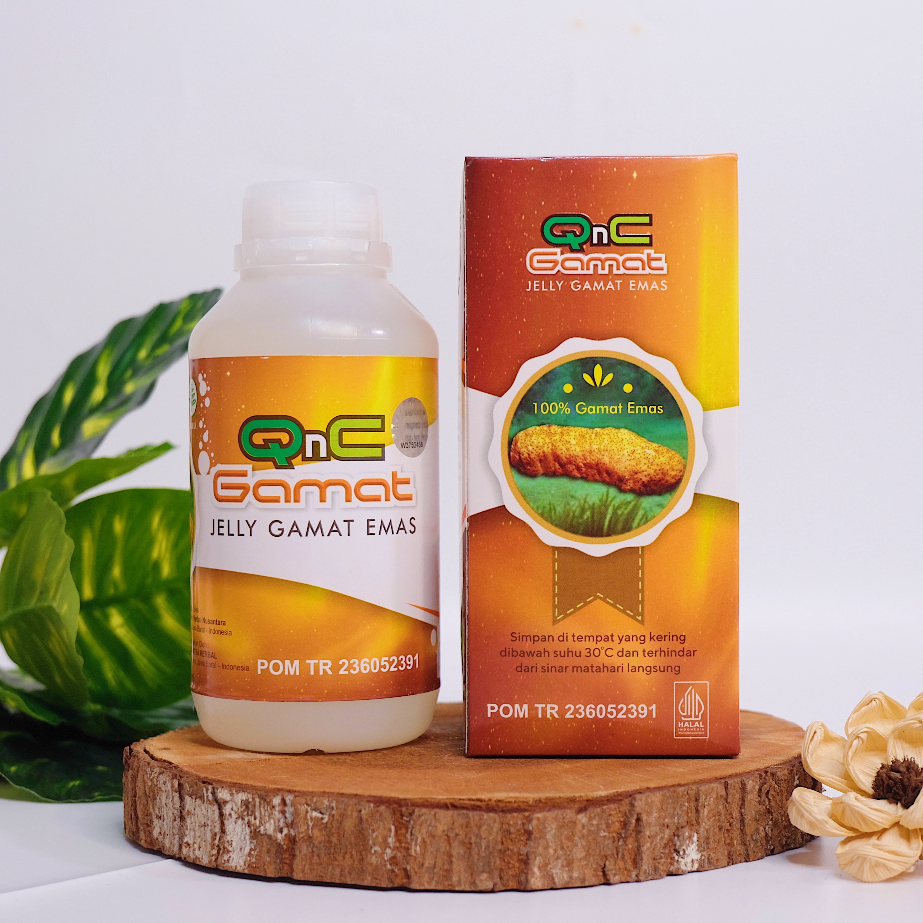 Qnc Jelly Gamat 100% Gamet Emas Asli Dan Original 300 ML Obat Kolesterol Diabetes Jantung Darah Tinggi Asam Lambung Stroke Ginjal Batuk TBC Sinusitis Benjolan Kista Miom Tumor Sinus Polip Kanker Jeli Jely